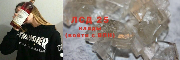 амф Снежногорск