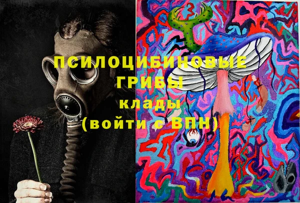 стаф Абдулино