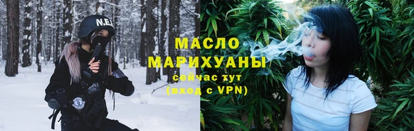 амф Снежногорск