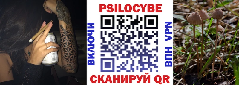 Псилоцибиновые грибы Magic Shrooms  где продают   Игарка 